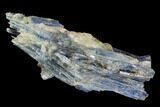 Vibrant Blue Kyanite Crystals In Quartz - Brazil #118858-1